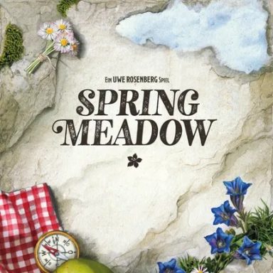 Spring Meadow A bouquet of daisies, some blue flowers, a picnic blanket, and a cloud on a stone-texture background with the game title "Spring Meadow."
